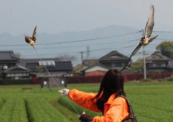 鷹匠